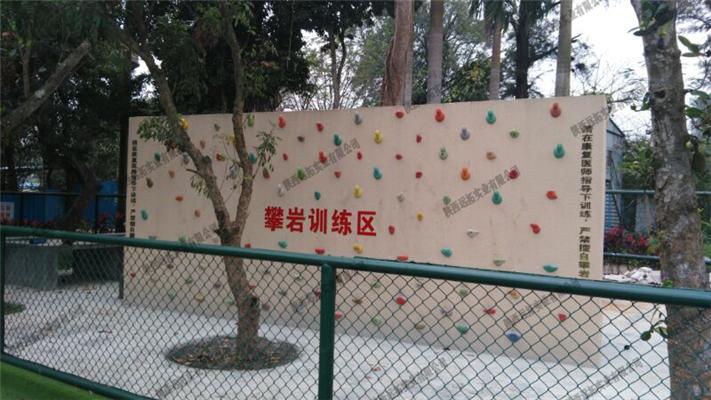 米兰竞技体育：93名青少年峭壁争锋！南宁“酷动前锋”挑战赛迎来攀岩比拼